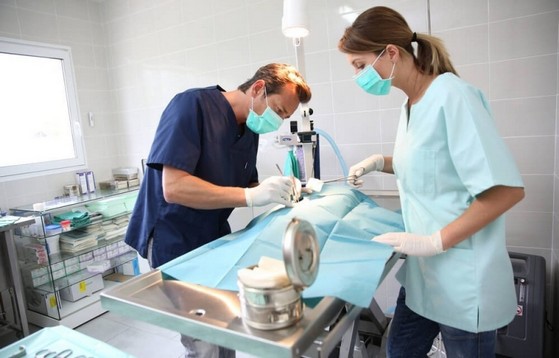 Cirurgia Veterinária Cirurgia Veterinária